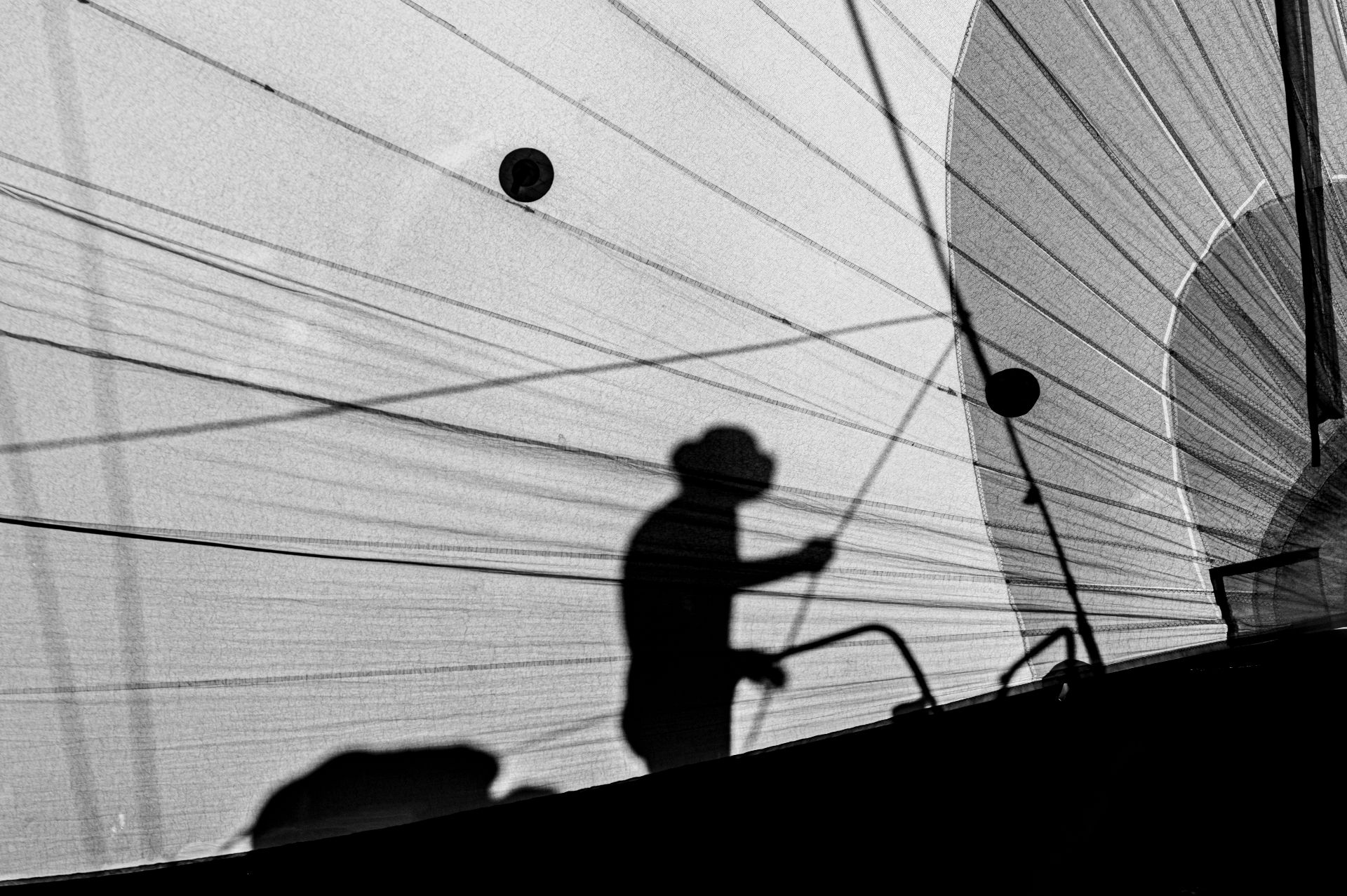 L'ombra del timoniere